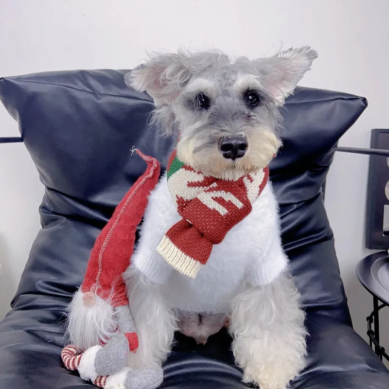 Dog Apparel Accessories Scarf  - Winter Clothing For Dogs ulasan dan harga