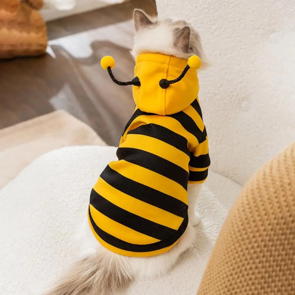 Pet Cats Clothes Kitten Stuff  - Winter Clothing For Dogs ulasan dan harga