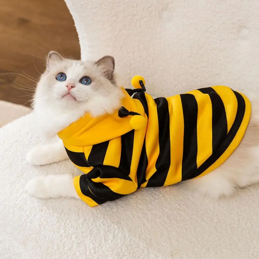 Pet Cats Clothes Kitten Stuff  - Winter Clothing For Dogs ulasan dan harga