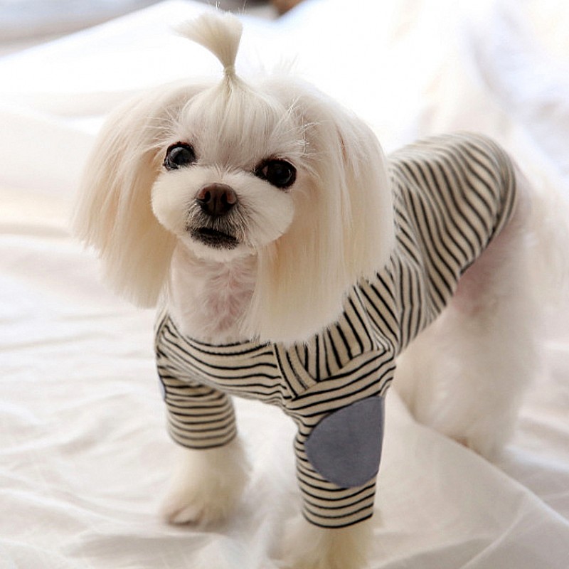 Thin Pet Dog Hoodies Fleece Do - Winter Clothing For Dogs ulasan dan harga