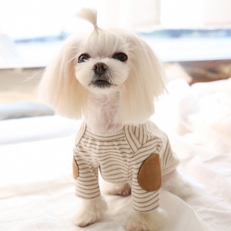 Thin Pet Dog Hoodies Fleece Do - Winter Clothing For Dogs ulasan dan harga