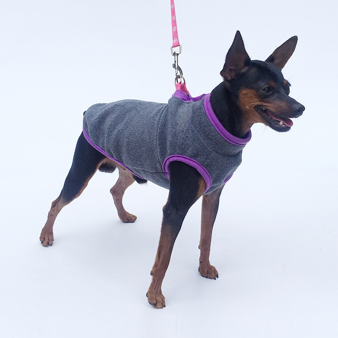 Autumn and Winter Plus Velvet  - Winter Clothing For Dogs ulasan dan harga