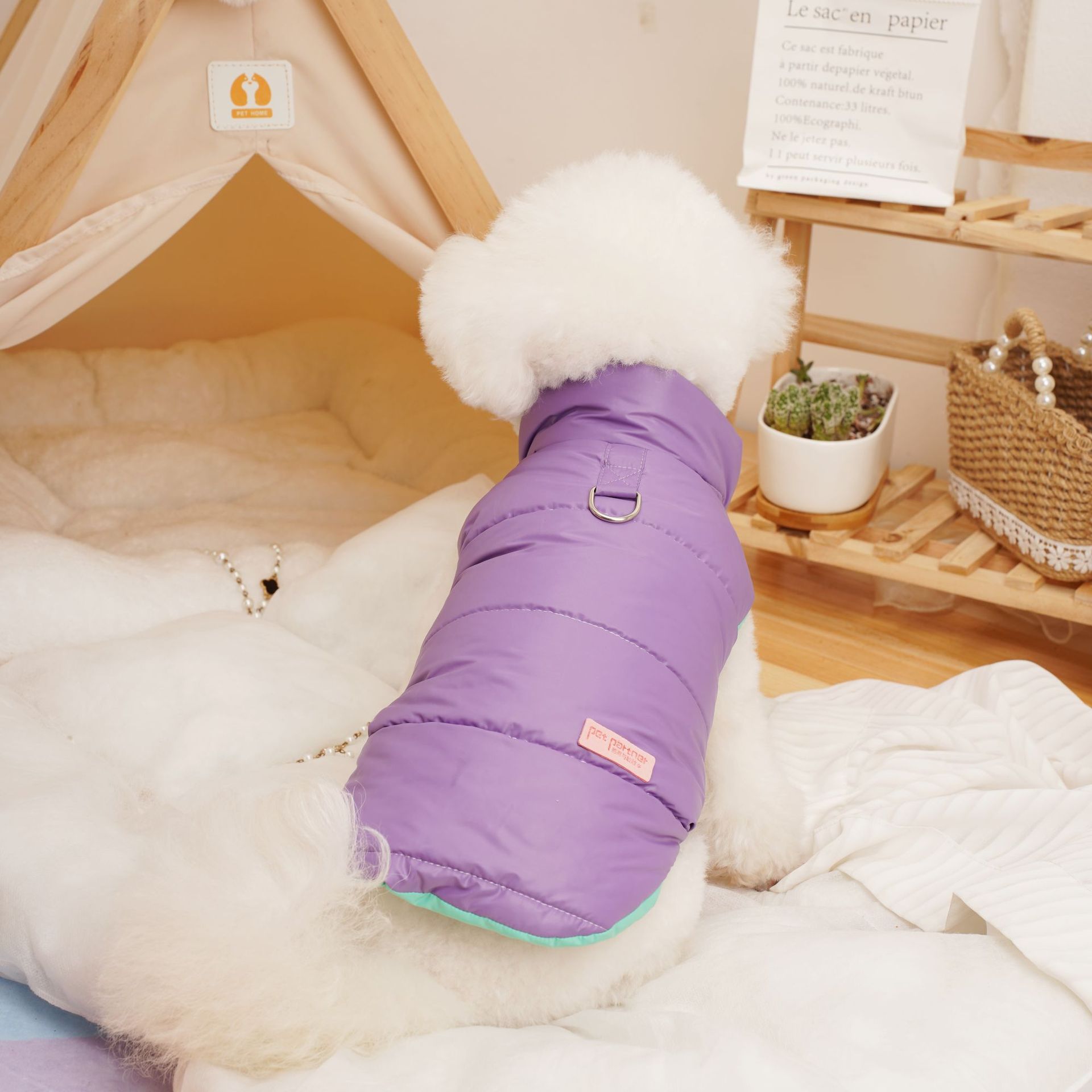 Thickened Cotton Clothes for A - Winter Clothing For Dogs ulasan dan harga
