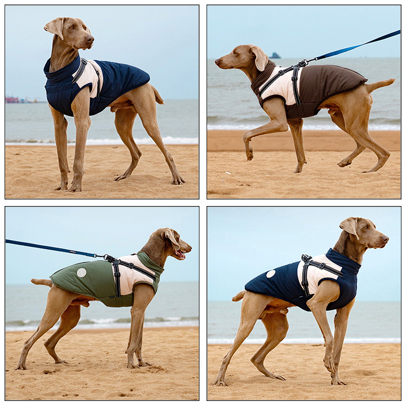 Warm Dog Vest With Built-in Ha - Winter Clothing For Dogs ulasan dan harga