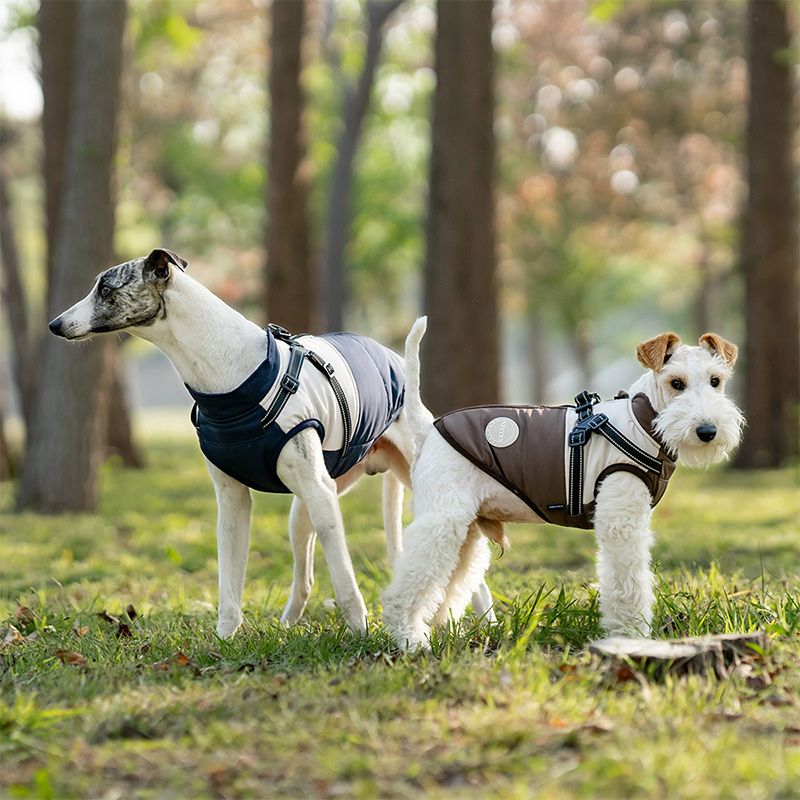 Warm Dog Vest With Built-in Ha - Winter Clothing For Dogs ulasan dan harga