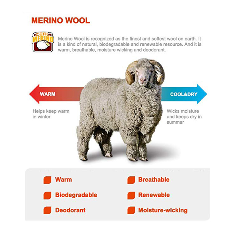ZEALWOOD Hiking Trekking Men's - Thermal Sock Merino ulasan dan harga