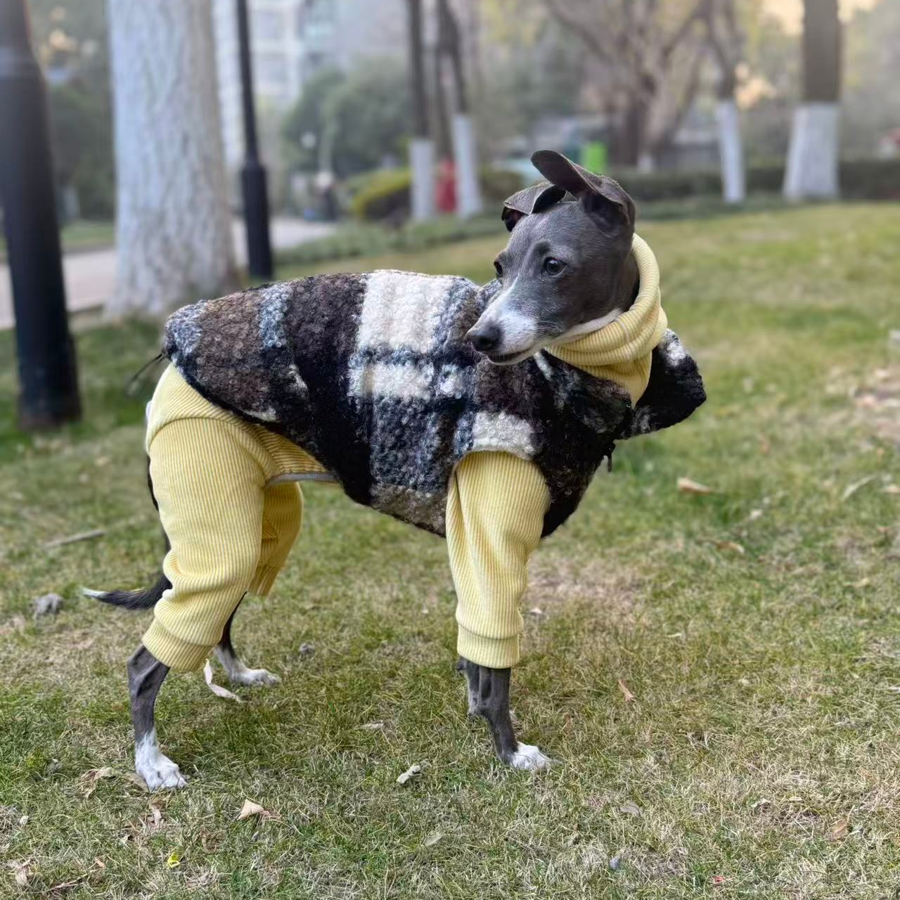 Winter Fleece Sweatshirt Vest  - Winter Clothing For Dogs ulasan dan harga