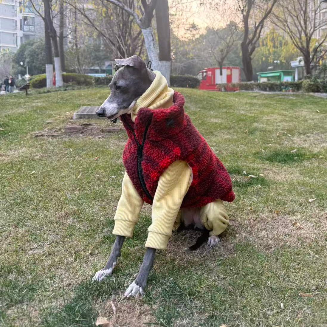 Winter Fleece Sweatshirt Vest  - Winter Clothing For Dogs ulasan dan harga