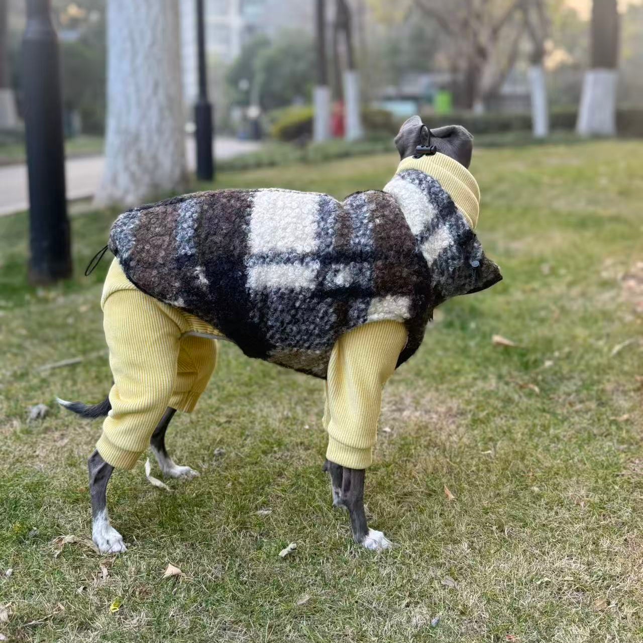 Winter Fleece Sweatshirt Vest  - Winter Clothing For Dogs ulasan dan harga