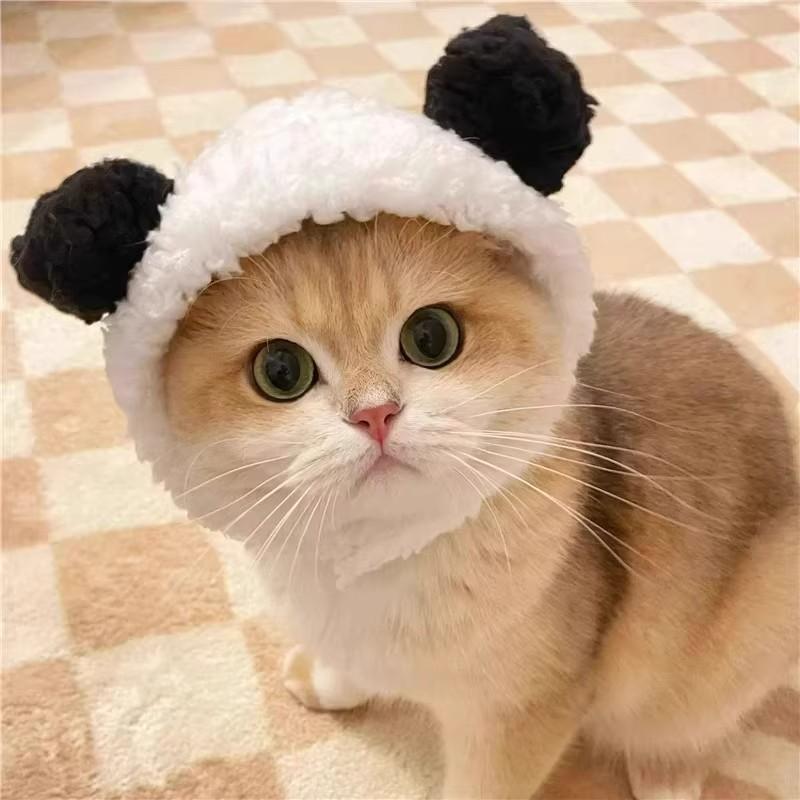 Adorable Pet Costume Bear Hat  - Winter Clothing For Dogs ulasan dan harga
