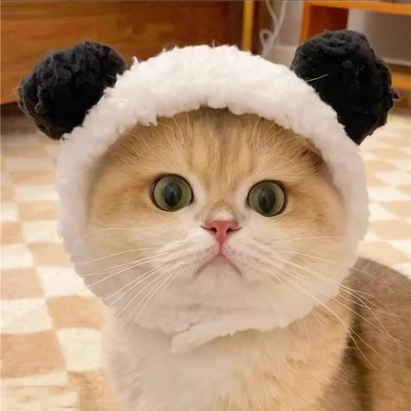 Adorable Pet Costume Bear Hat  - Winter Clothing For Dogs ulasan dan harga