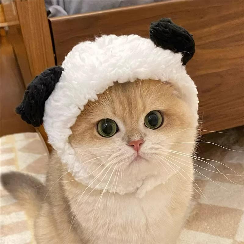 Adorable Pet Costume Bear Hat  - Winter Clothing For Dogs ulasan dan harga