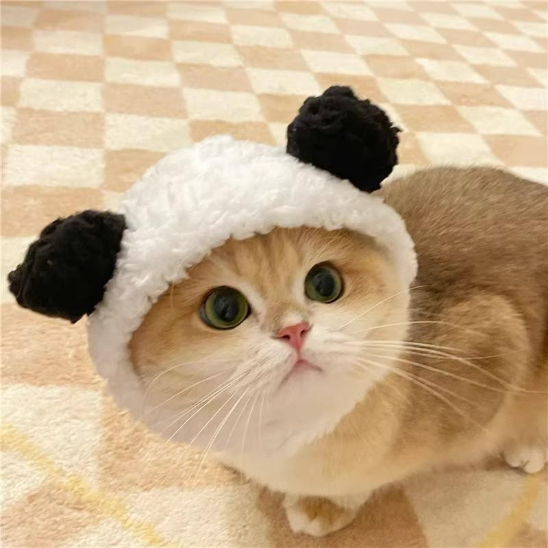 Adorable Pet Costume Bear Hat  - Winter Clothing For Dogs ulasan dan harga