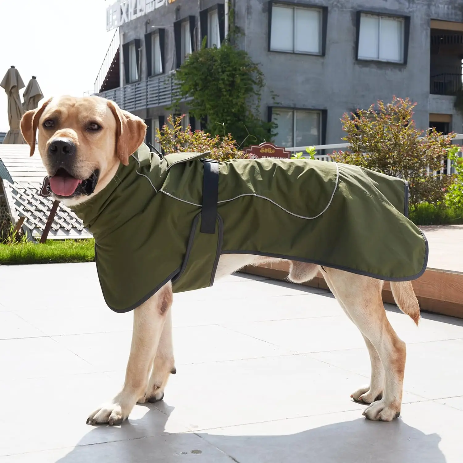 Winter Clothes for Dogs Windpr - Winter Clothing For Dogs ulasan dan harga
