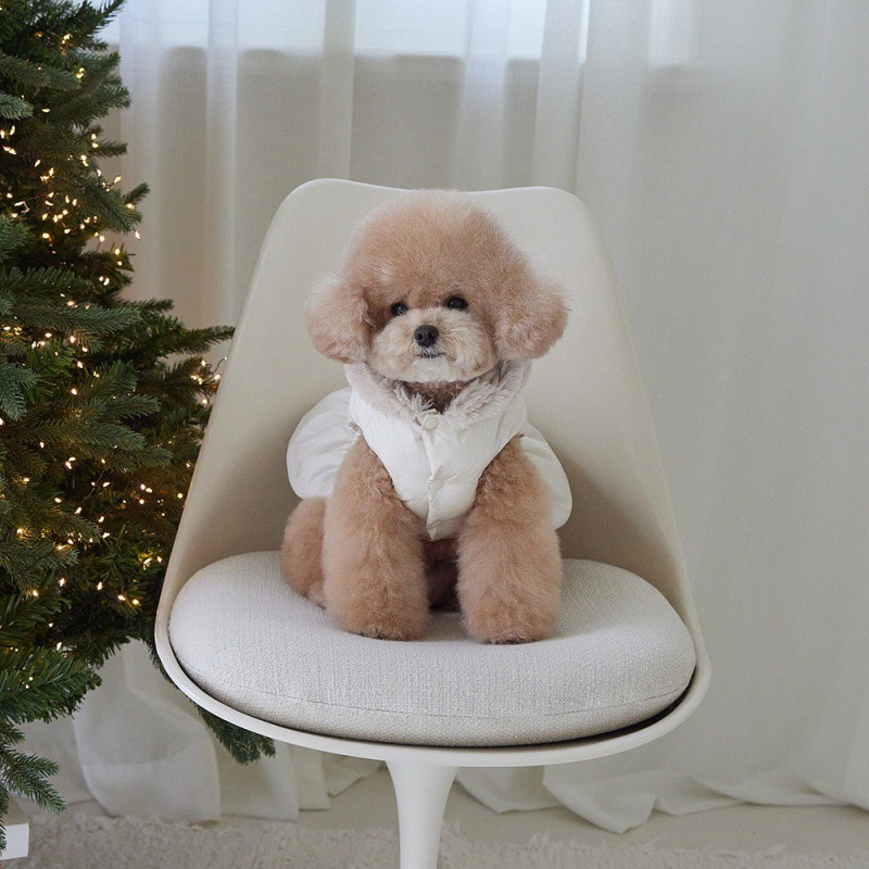 Pet Thick Coat Autumn/Winter C - Winter Clothing For Dogs ulasan dan harga
