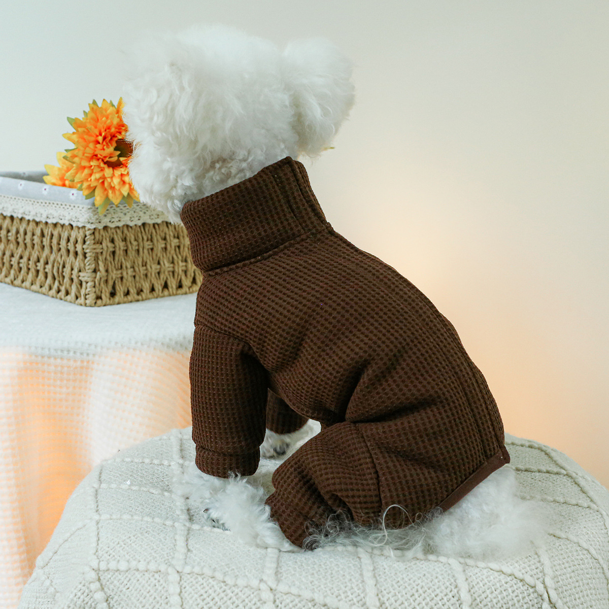Winter Costumes for Dogs Autum - Winter Clothing For Dogs ulasan dan harga