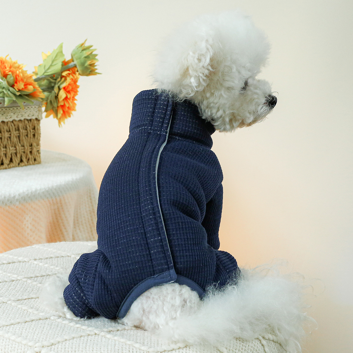 Winter Costumes for Dogs Autum - Winter Clothing For Dogs ulasan dan harga