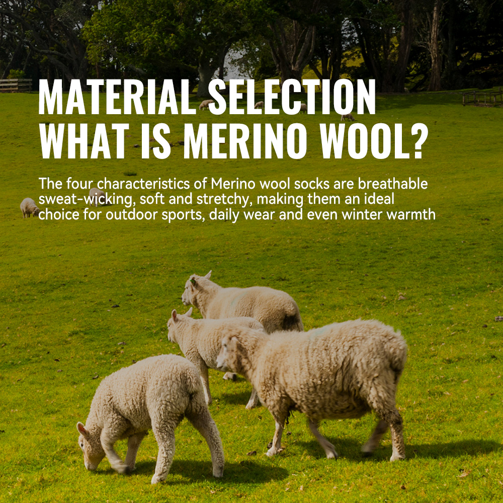 WRELS 1/2/3 Merino Wool Socks  - Thermal Sock Merino ulasan dan harga