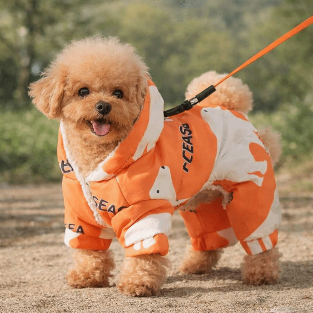 Cute Warm Dog Winter Clothes A - Winter Clothing For Dogs ulasan dan harga