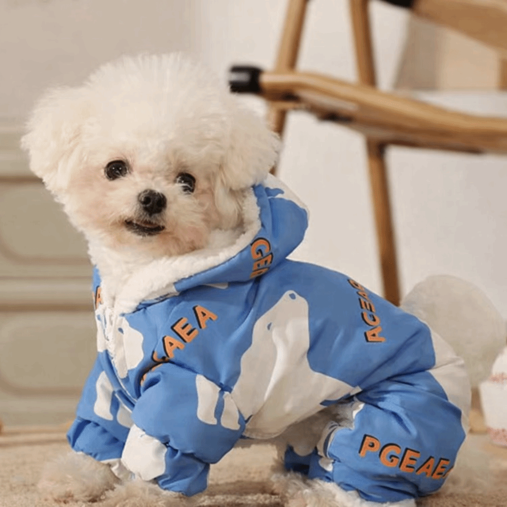 Cute Warm Dog Winter Clothes A - Winter Clothing For Dogs ulasan dan harga