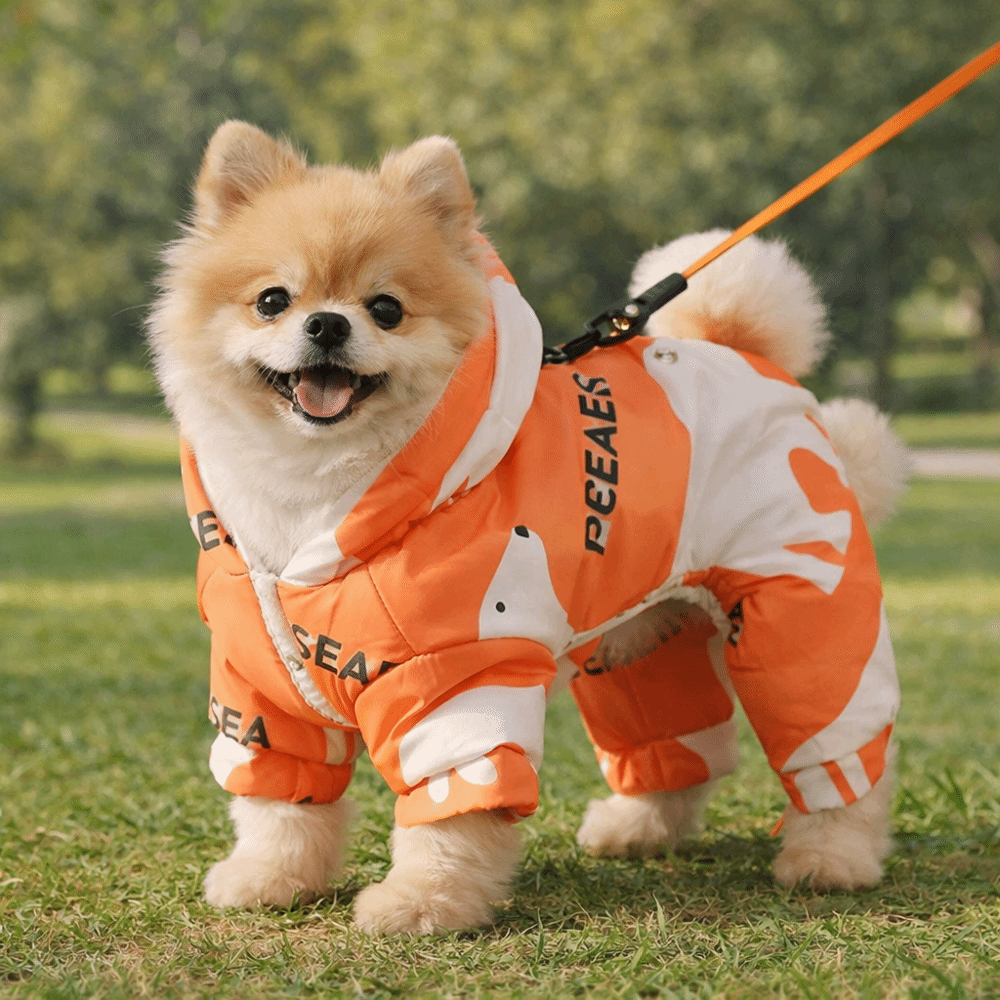 Cute Warm Dog Winter Clothes A - Winter Clothing For Dogs ulasan dan harga