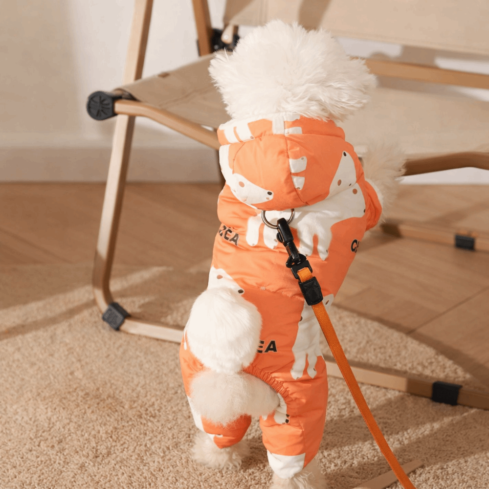 Cute Warm Dog Winter Clothes A - Winter Clothing For Dogs ulasan dan harga